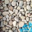 Picture of Jumbo Scottish Pebbles 20-30mm