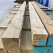 Picture of 100 x 100 x 3.0m Green Treated Timber Post