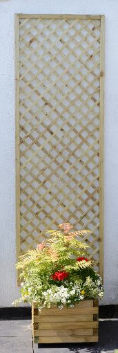 Picture of Grange 1.8x0.6m Alderly Square Trellis