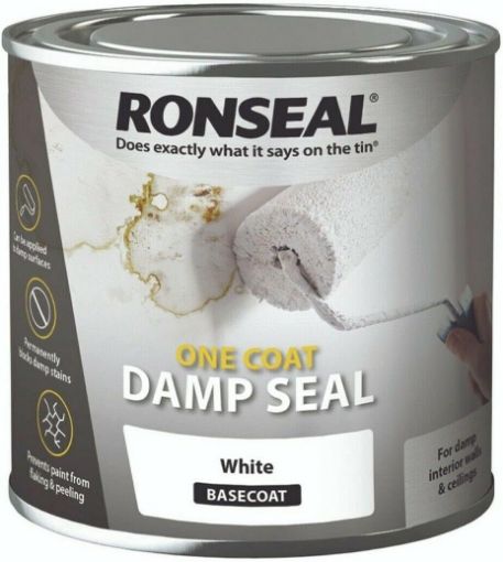 Picture of Ronseal Anti-Damp Paint White 750ml