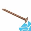 Picture of 38mm x 3.35mm Copper Clout Nails 1kg